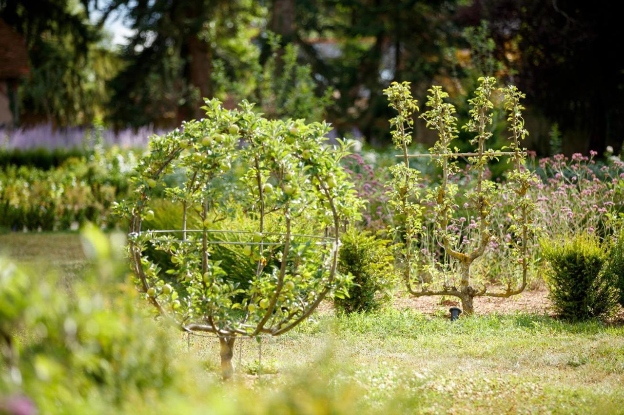 Relais & Chateau Louise De La Valliere Reugny  Luaran gambar
